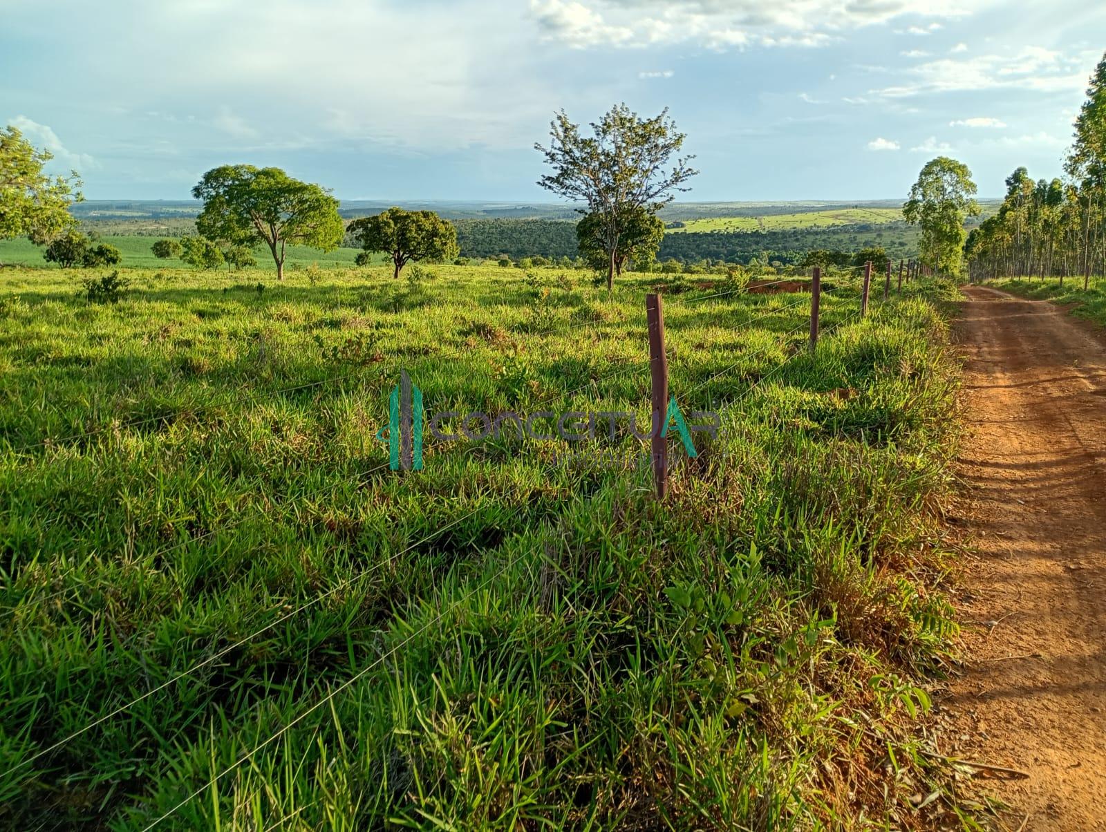 Conceituar Imobili�ria