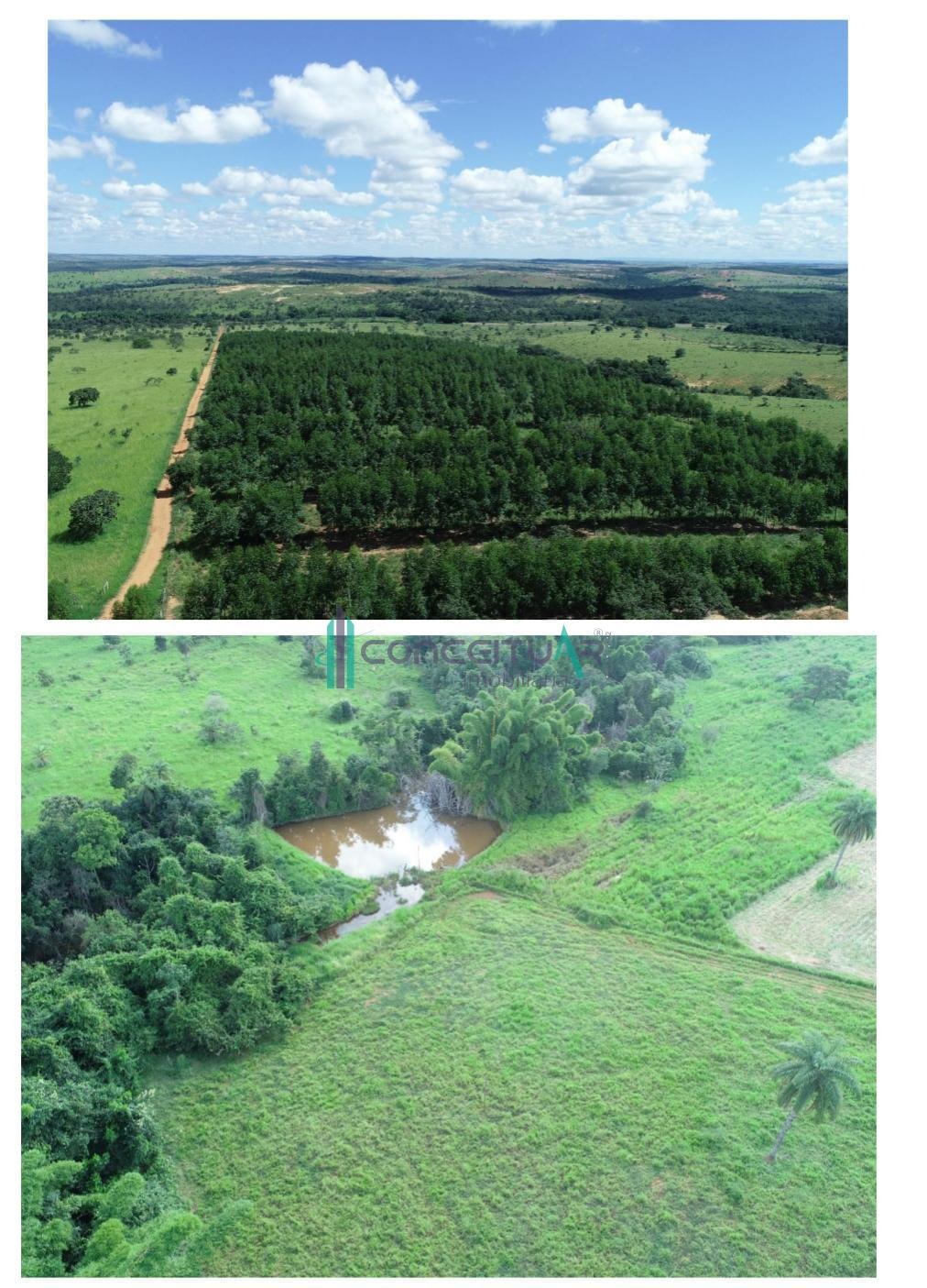 Conceituar Imobili�ria