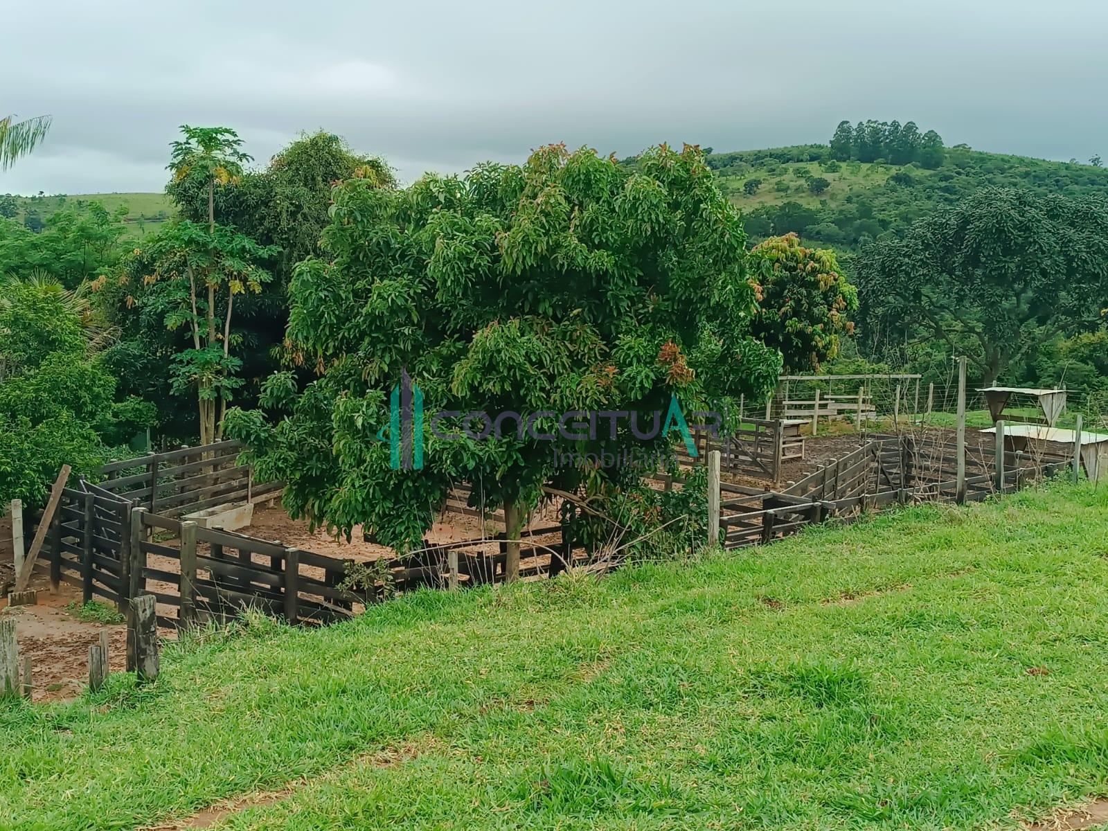 Conceituar Imobili�ria