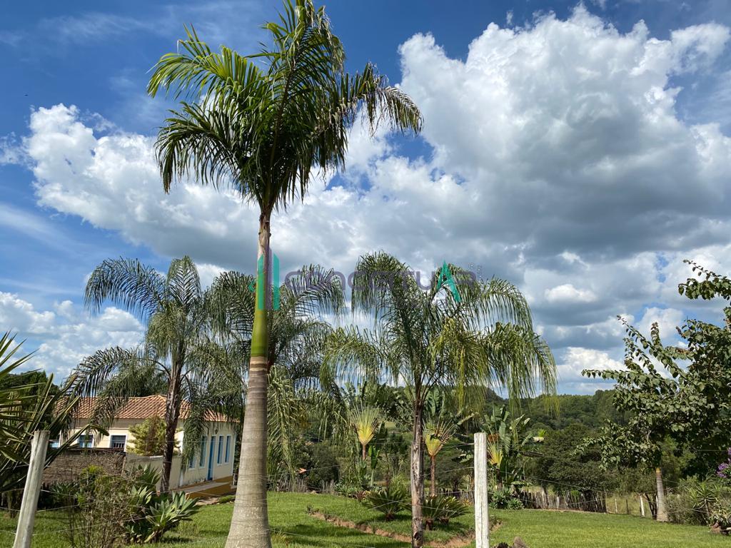 Conceituar Imobili�ria