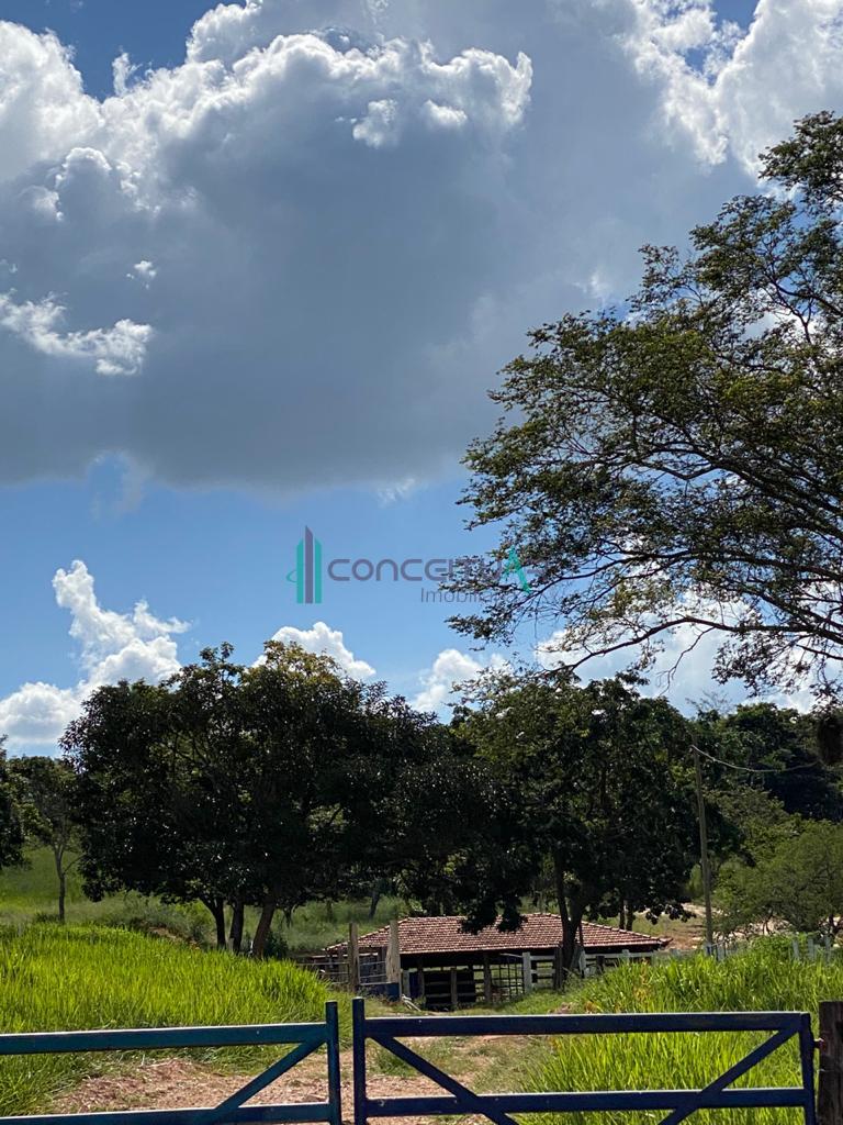 Conceituar Imobili�ria