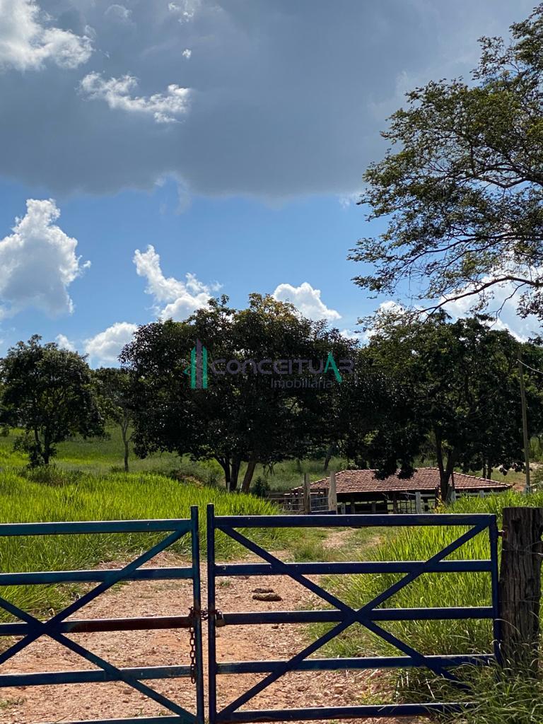 Conceituar Imobili�ria