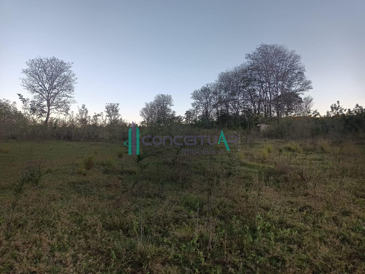Conceituar Imobili�ria