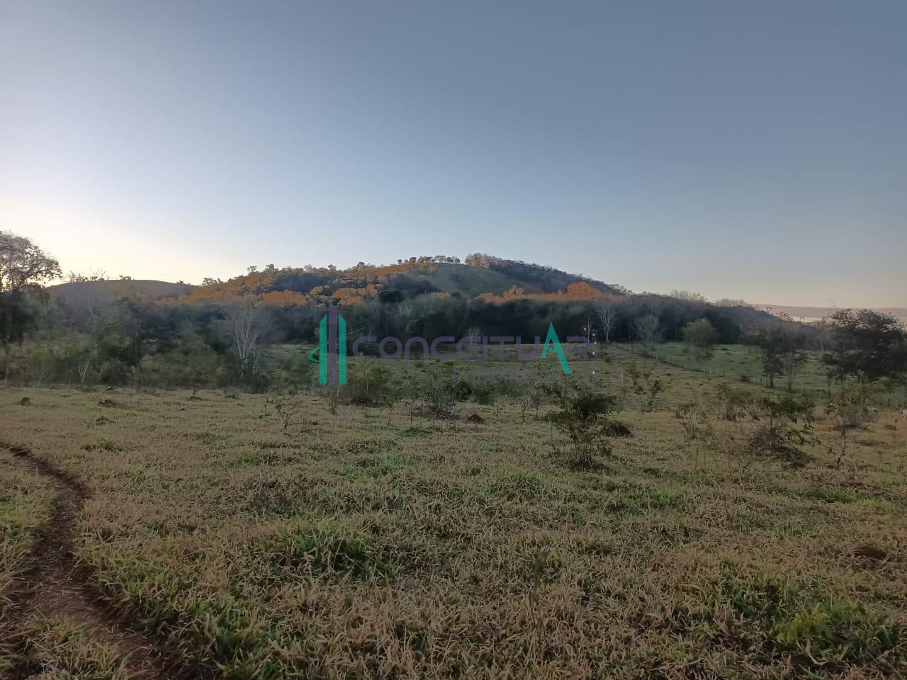Conceituar Imobili�ria