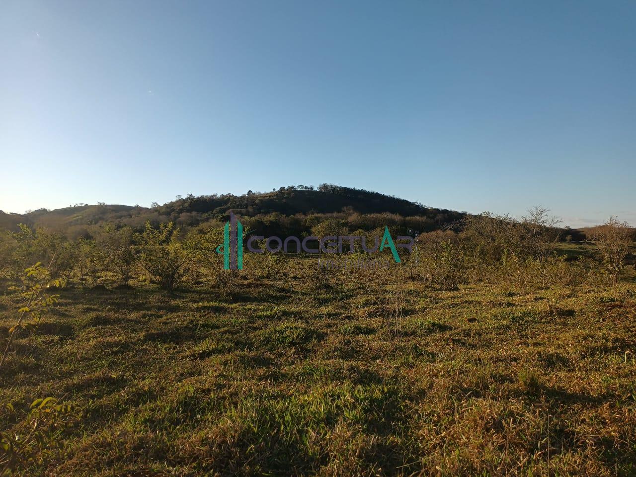 Conceituar Imobili�ria