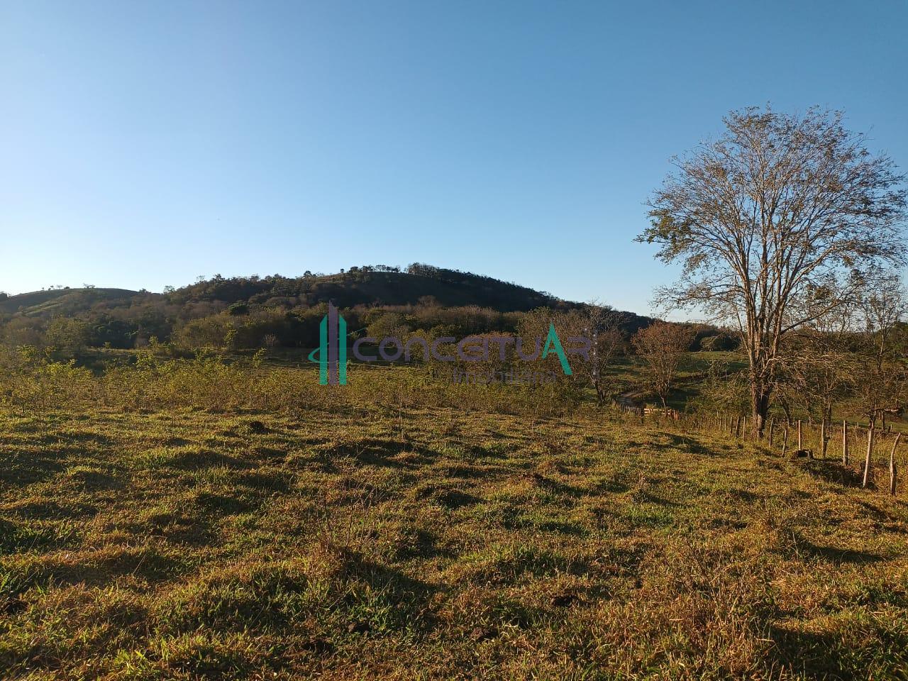 Conceituar Imobili�ria