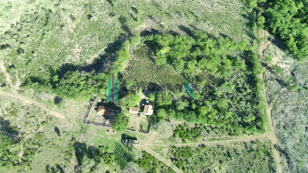 Fazenda � venda com 307,4 hectares, ZONA RURAL, AUGUSTO DE LIMA - MG