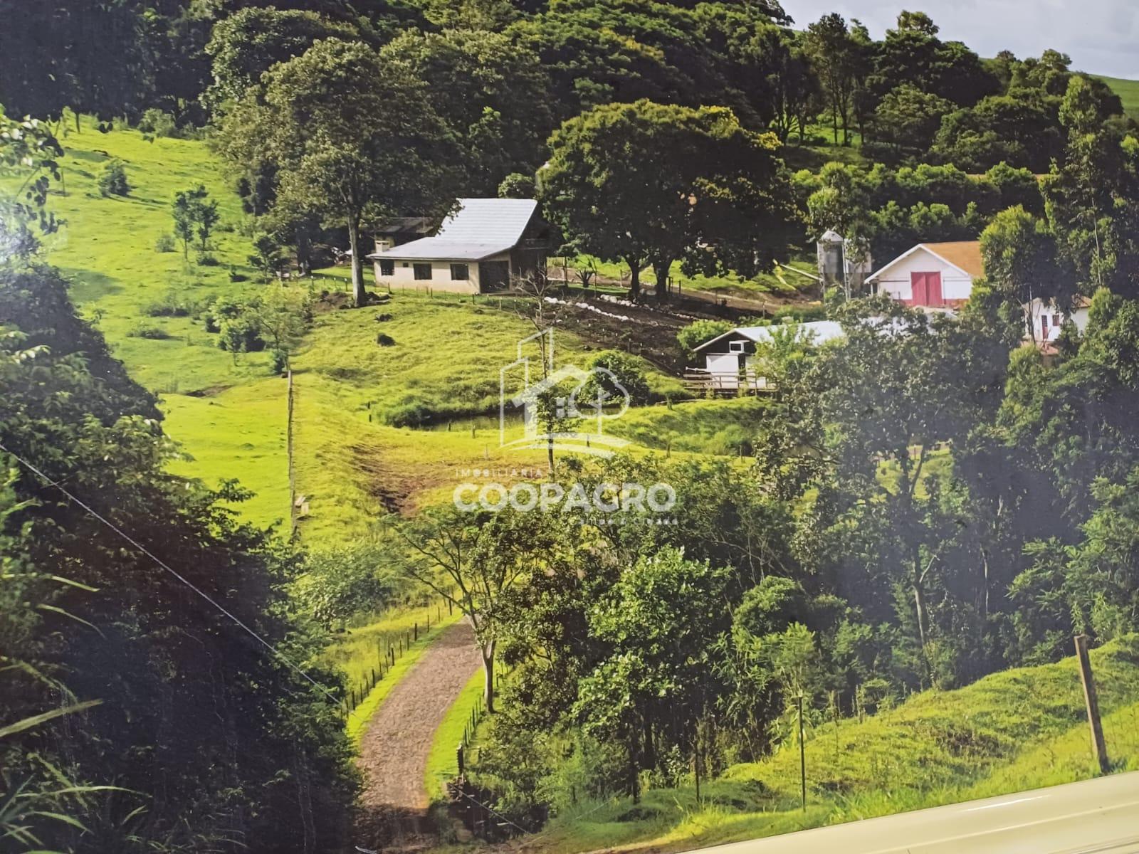 Sítio localizado em Bragantina - Assis Chateaubriand - PR.