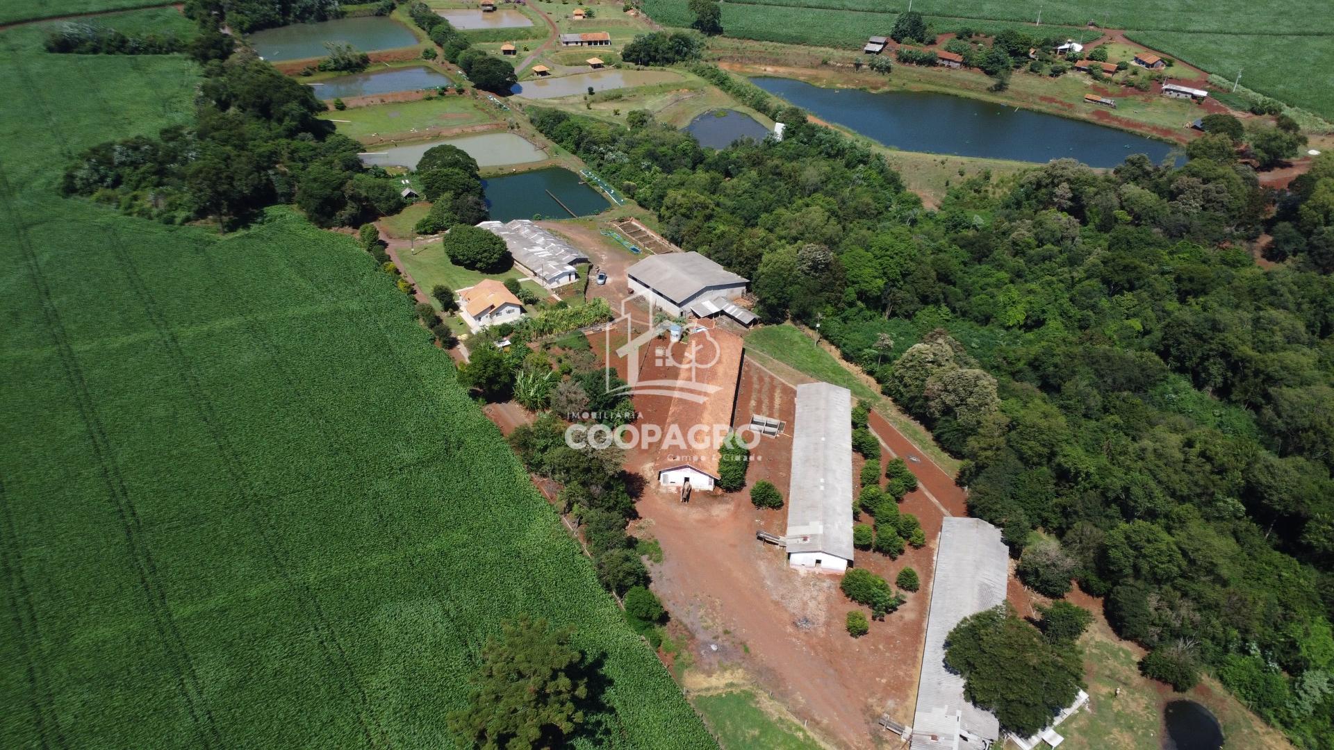 Chácara 42.150 m , estruturada para criação de peixes e suinos...