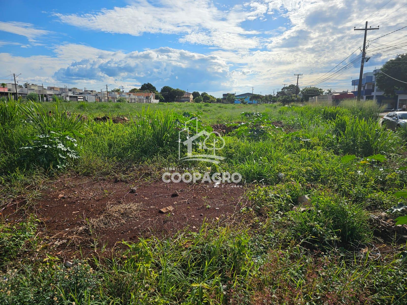 Terreno Residencial 250 m , Jardim Coopagro, Toledo - PR.