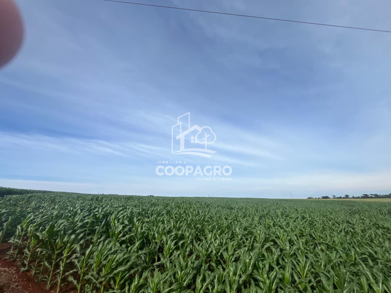 Ch?cara ? venda 24.000 m   frente para asfalto, comercial e in...