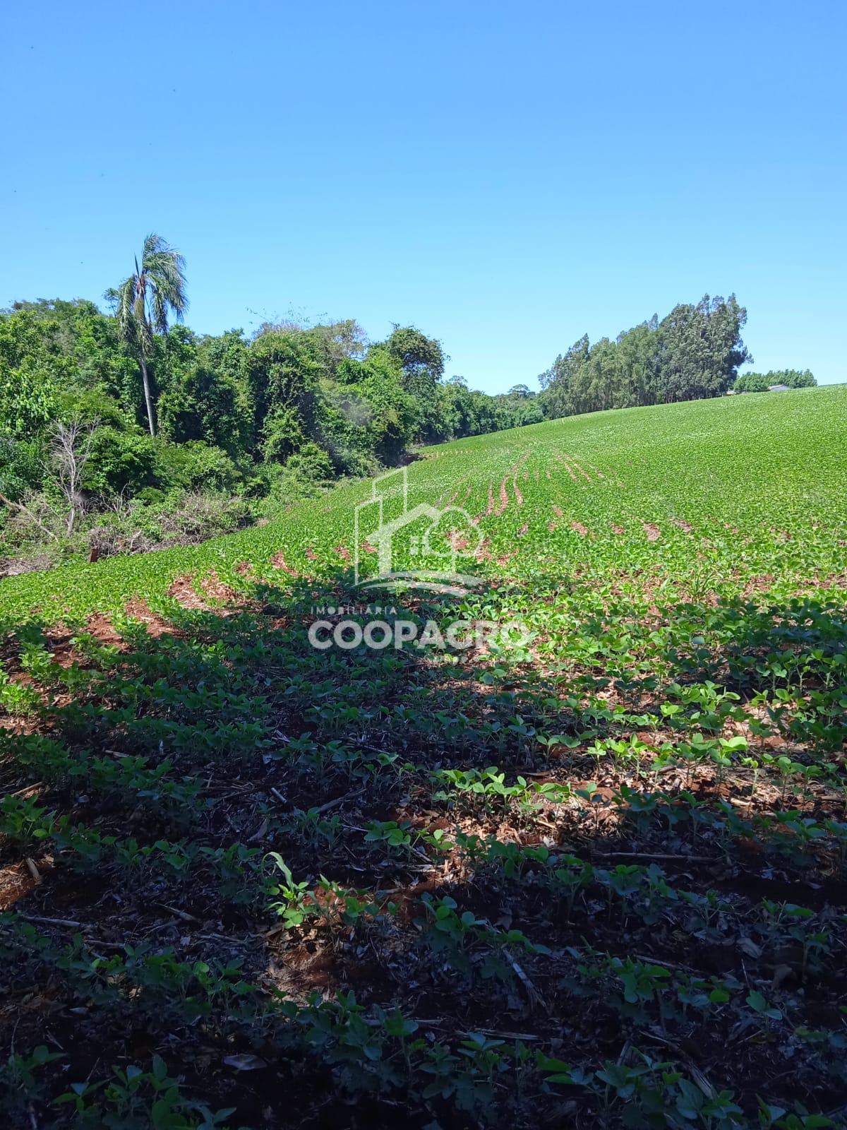 Chácara de 20.200 m   à venda, 1.500 metros do BIOPARK Toledo ...