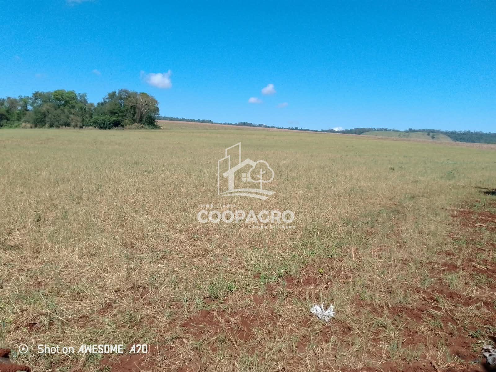 Chácara à venda de 37.109,65m2  analisa pernuta,linha KM 41 - ...