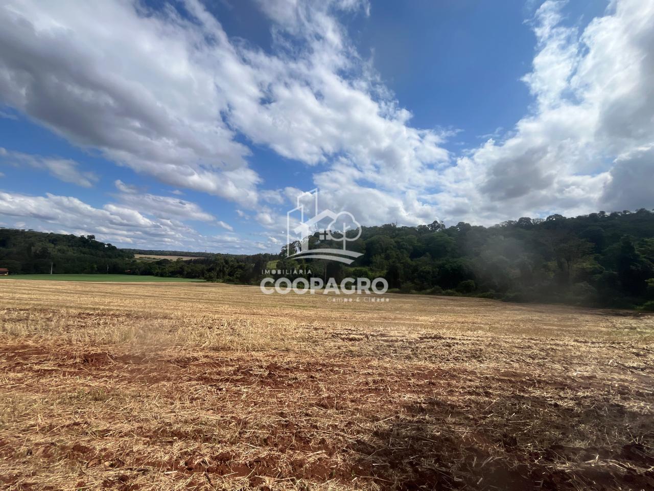 Chácara à venda com 38.750 m2 -  DISTRITO DE DOIS IRMÃOS, TOLE...