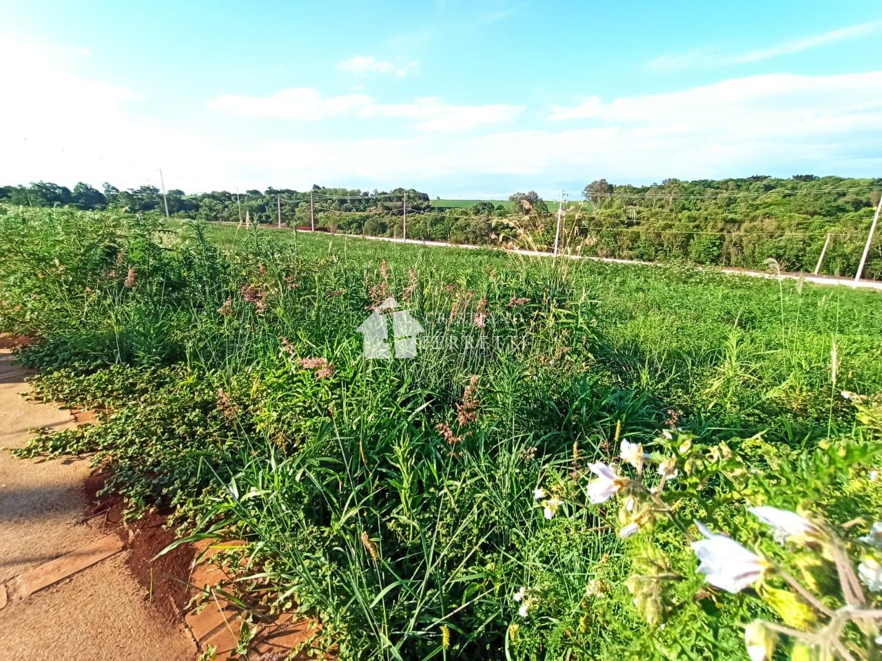 Terreno no loteamento Flora Galante 2 à venda, Jardim Coopagro...