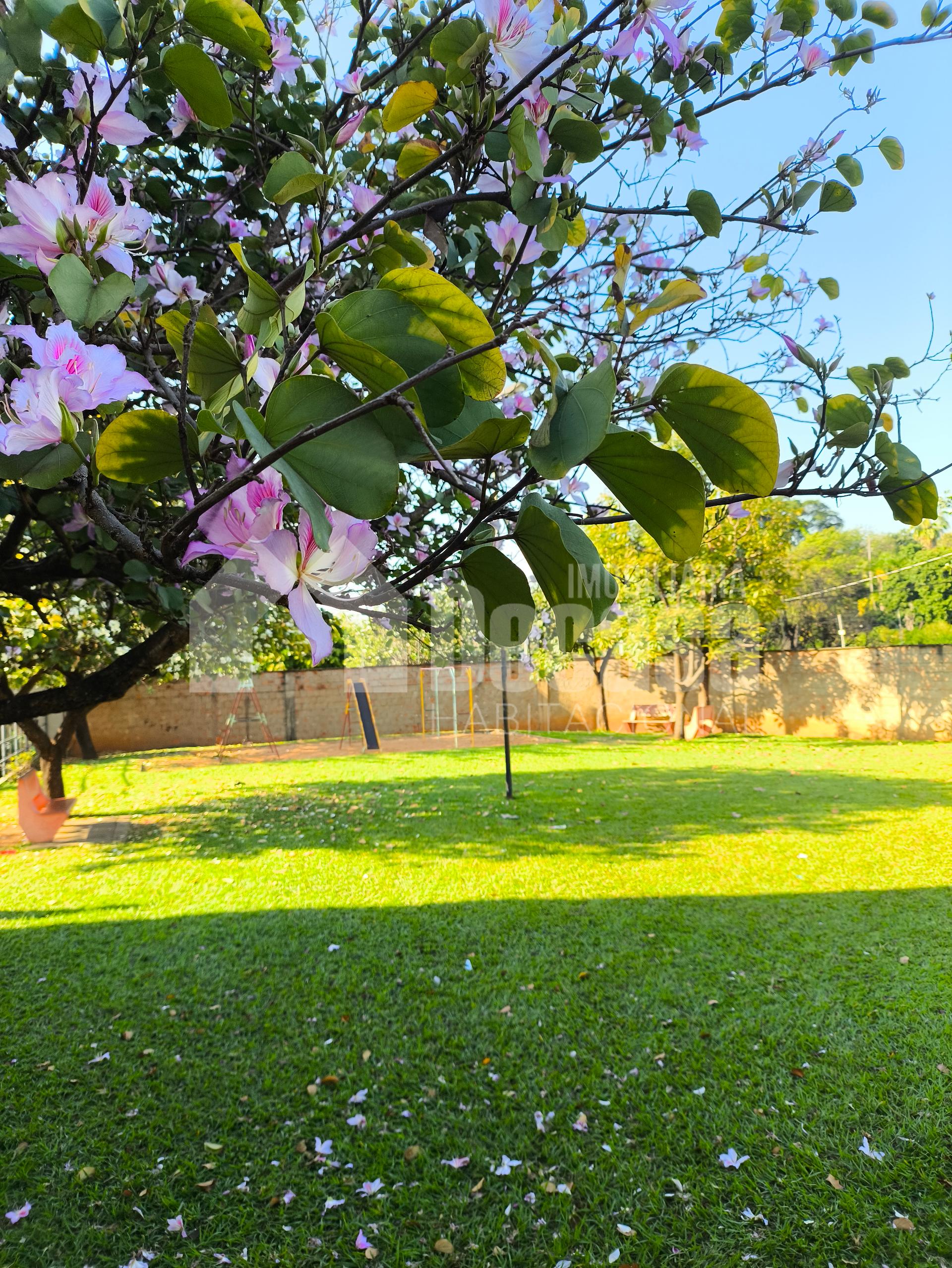 Imobiliria Decasa em Birigui SP