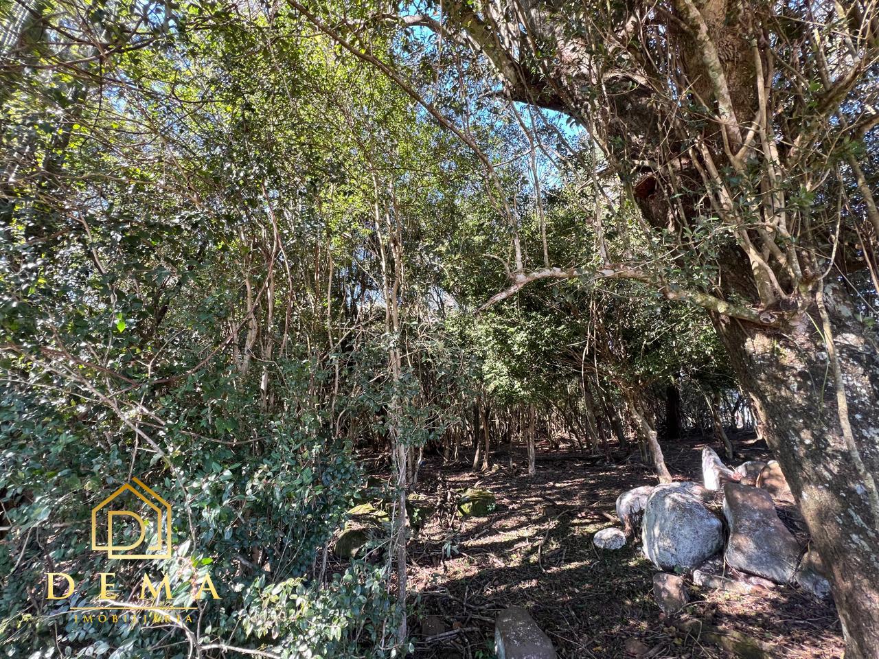 Fazenda à venda, 21000m² - Foto 12