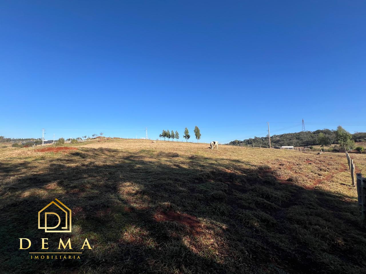 Fazenda à venda, 21000m² - Foto 13