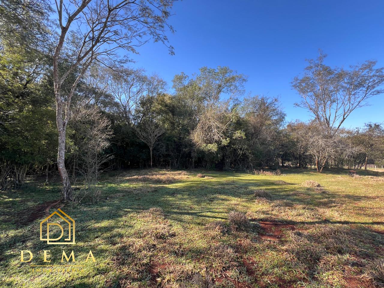 Fazenda à venda, 21000m² - Foto 15