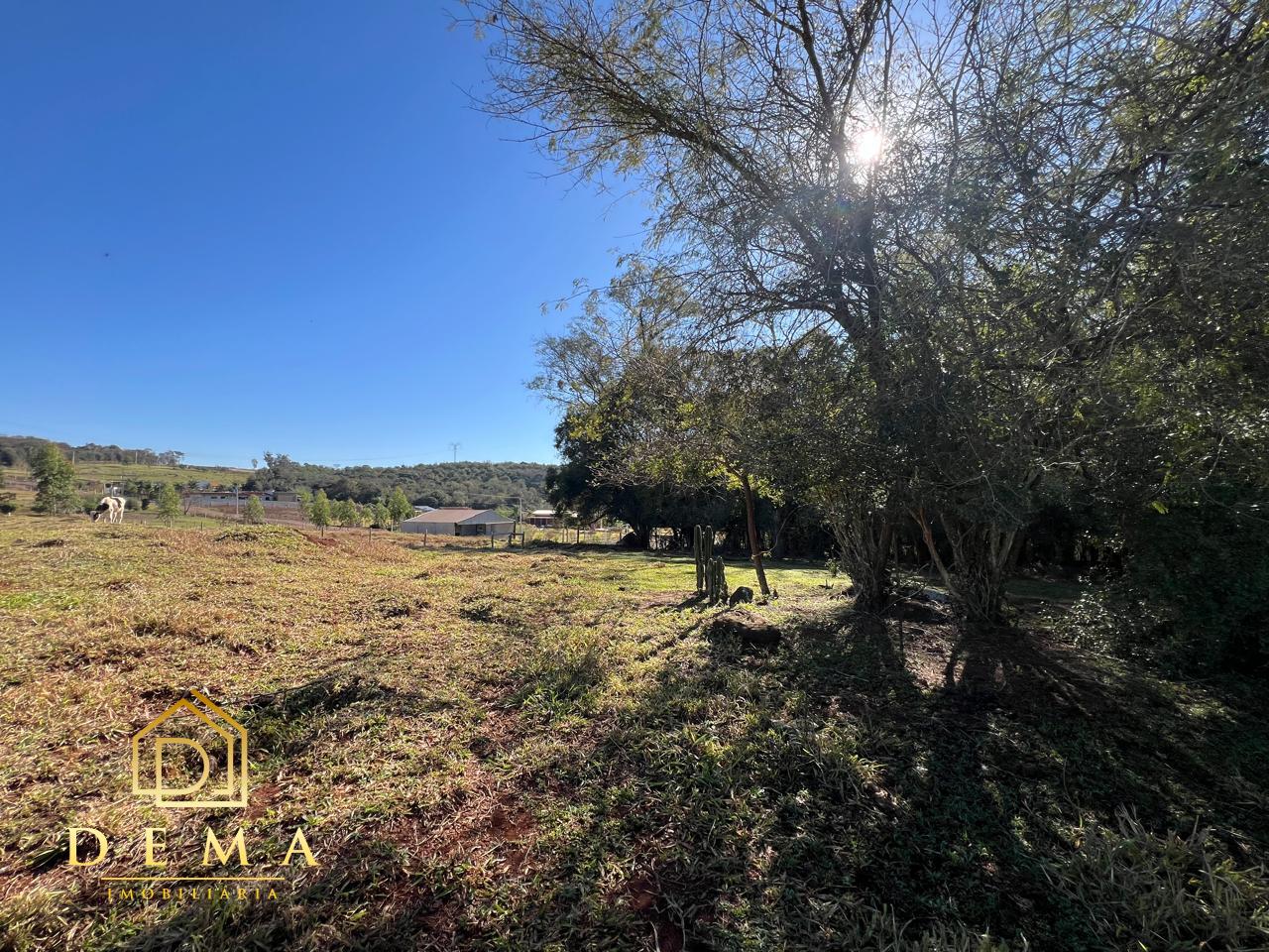 Fazenda à venda, 21000m² - Foto 16