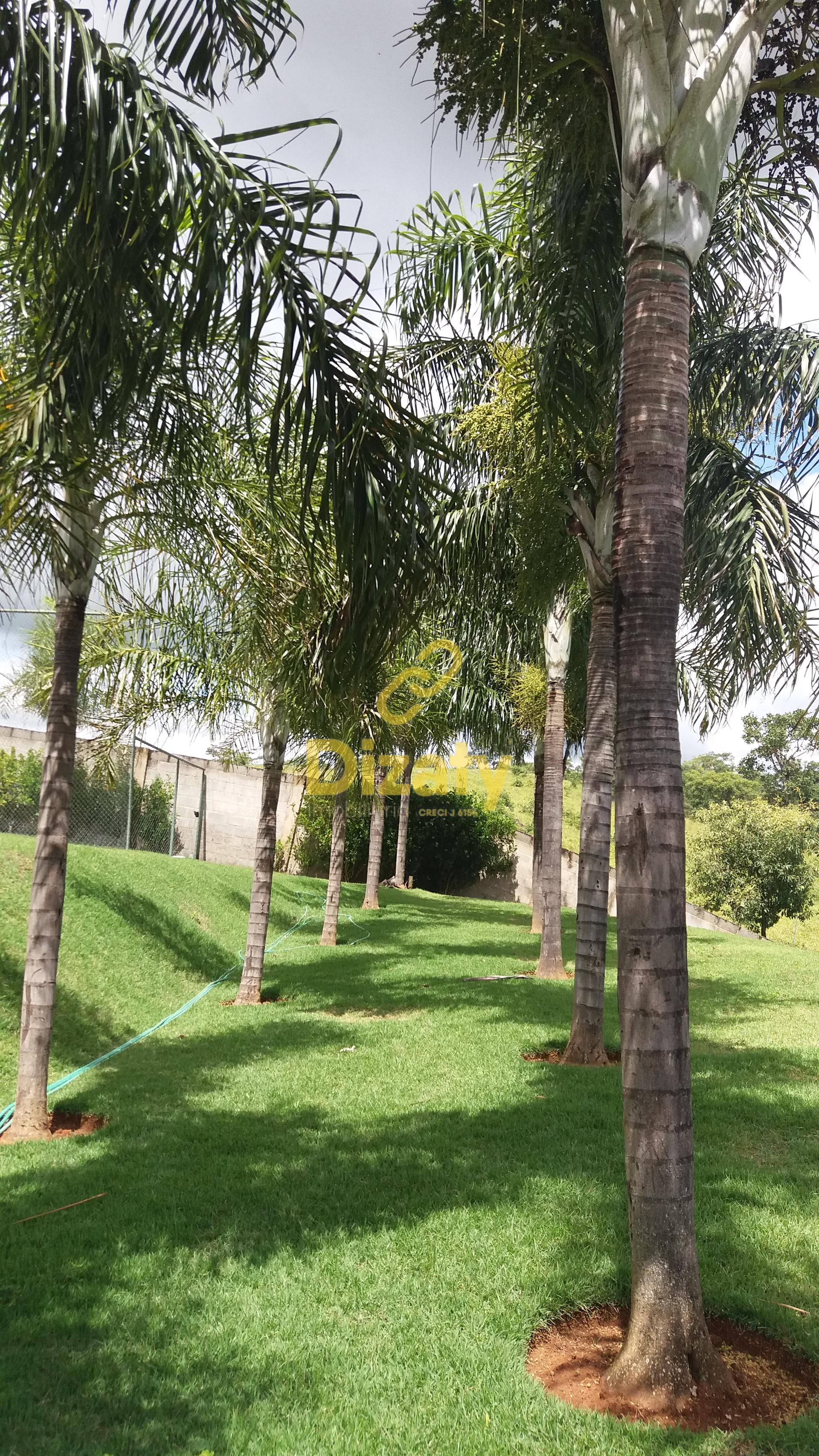 Terreno, 594 m² - Foto 7