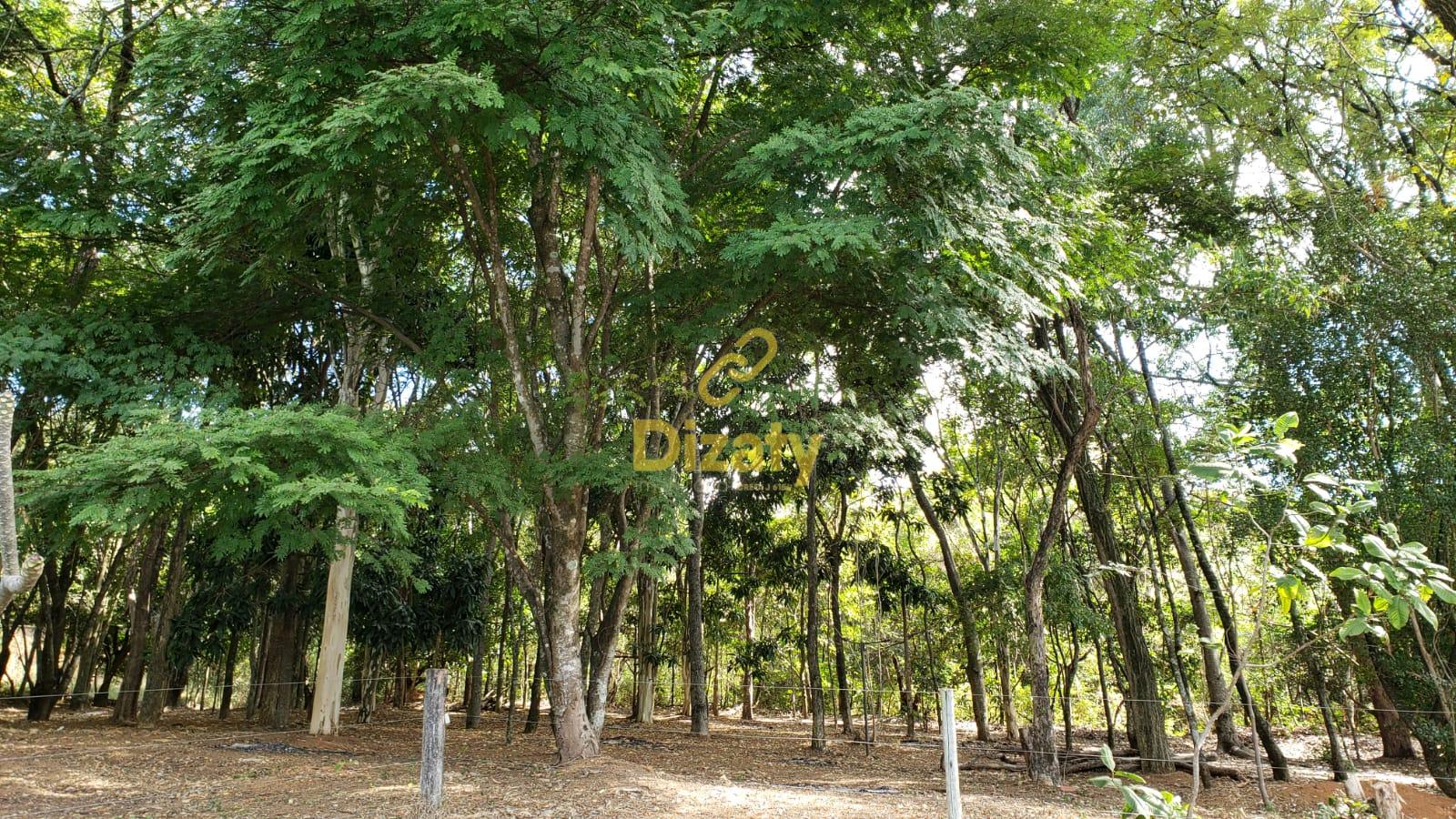 Imobiliria Dizaty em Sete Lagoas - MG