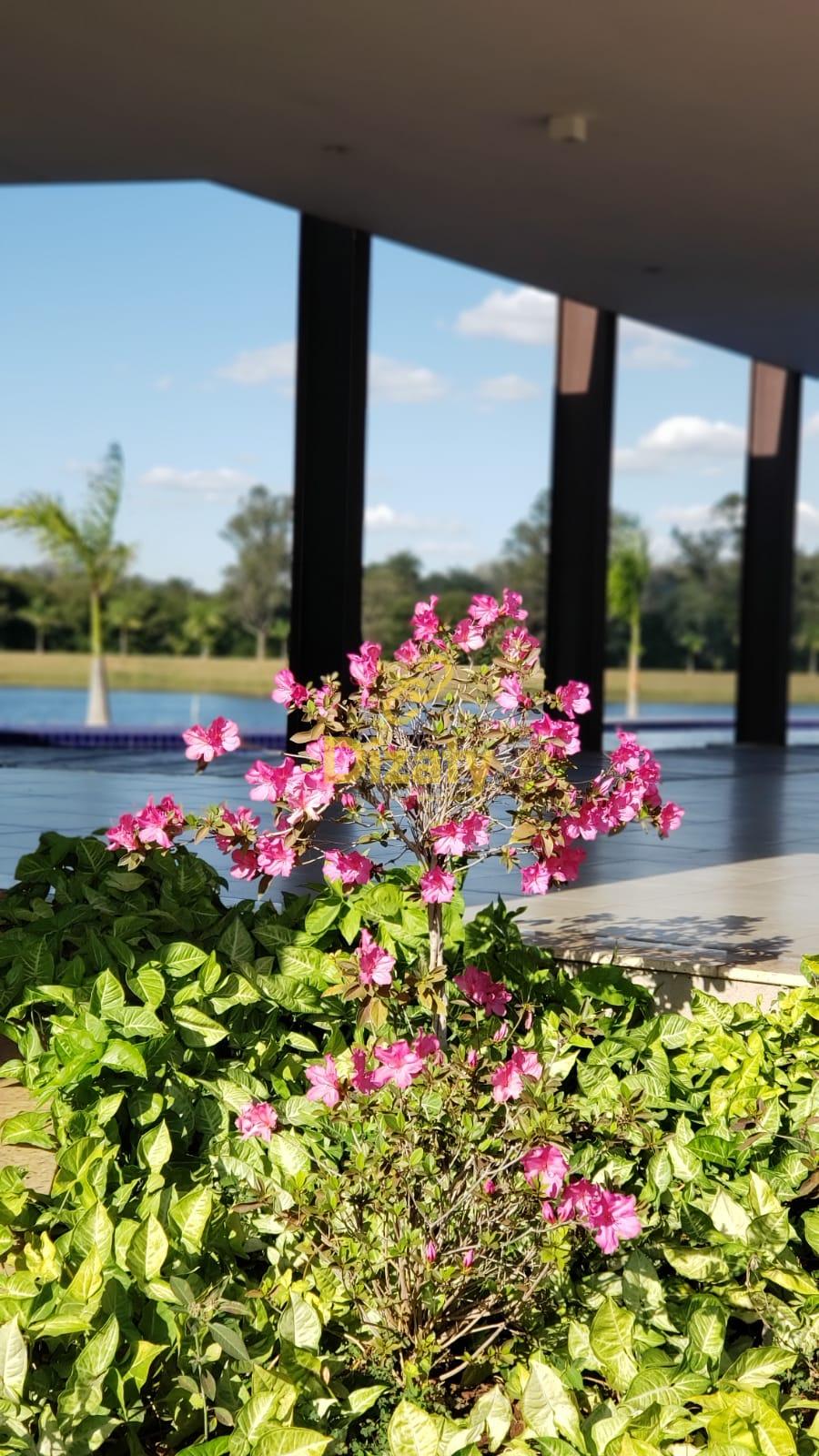 Imobiliria Dizaty em Sete Lagoas - MG