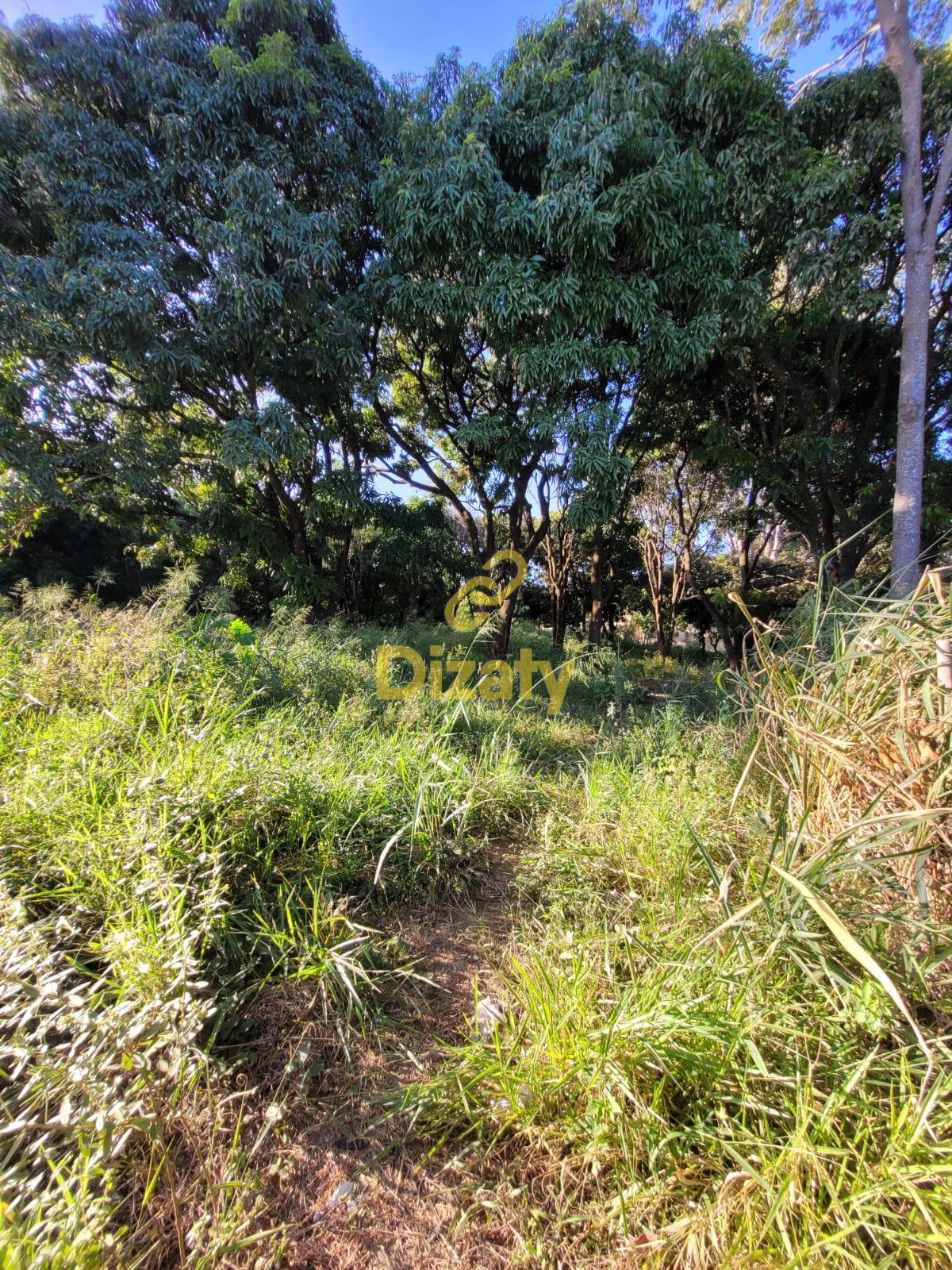 Imobiliria Dizaty em Sete Lagoas - MG