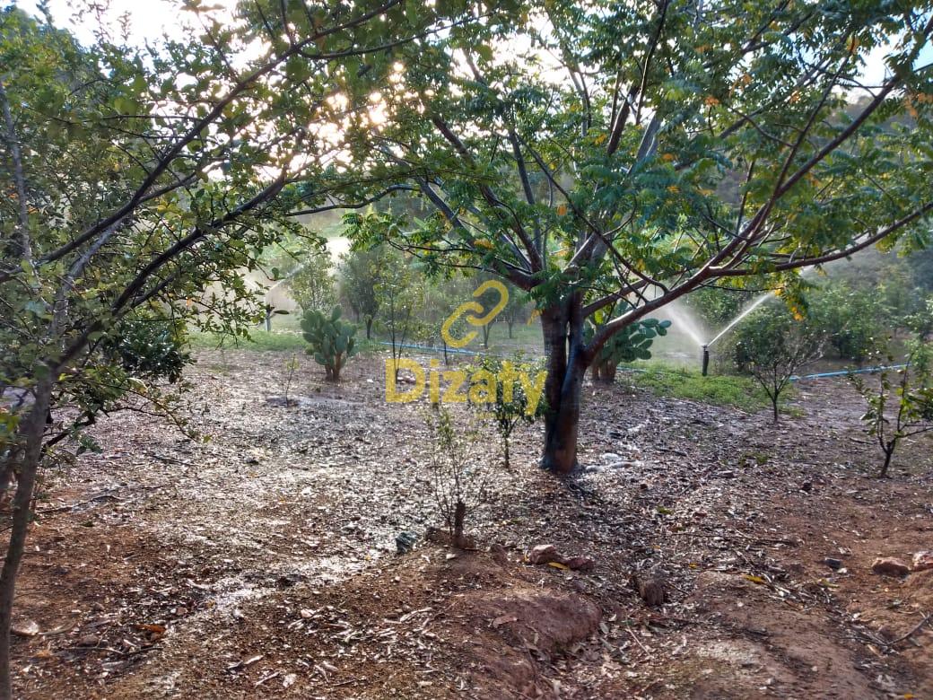 Imobiliria Dizaty em Sete Lagoas - MG