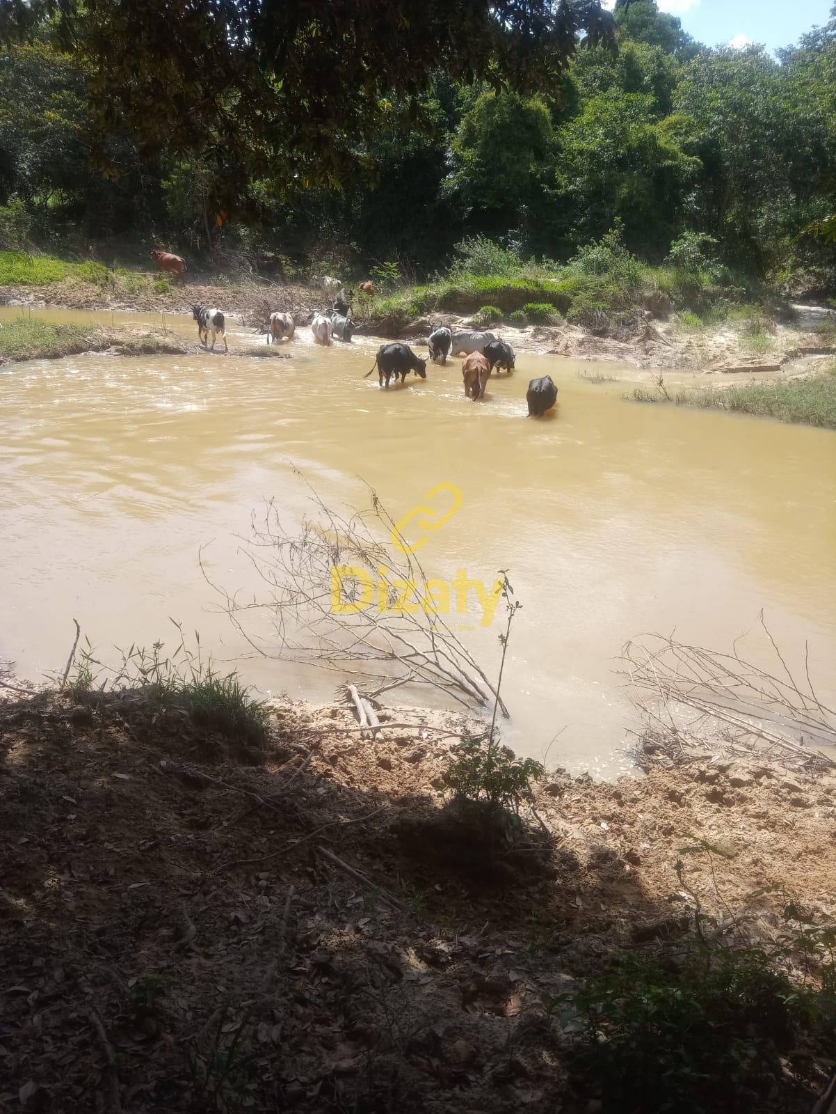 Imobiliria Dizaty em Sete Lagoas - MG