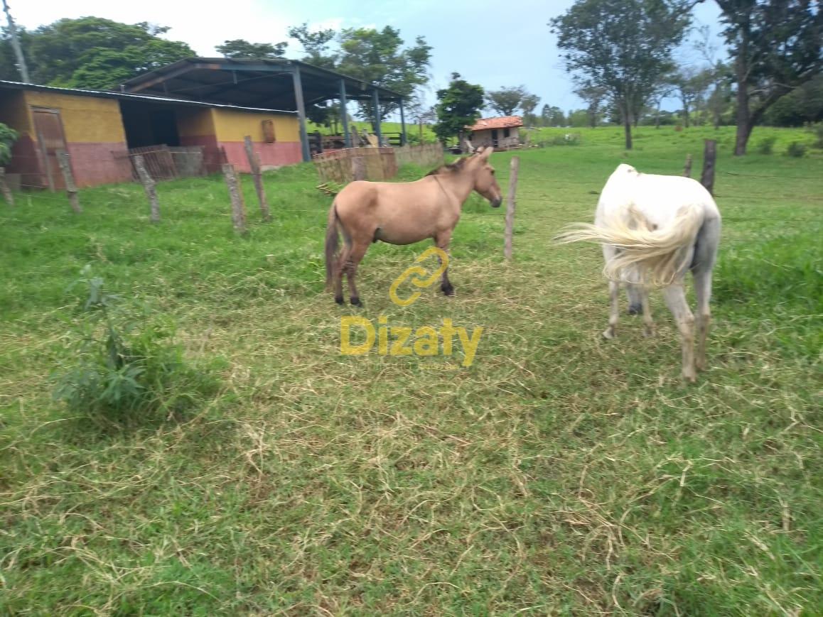 Imobiliria Dizaty em Sete Lagoas - MG