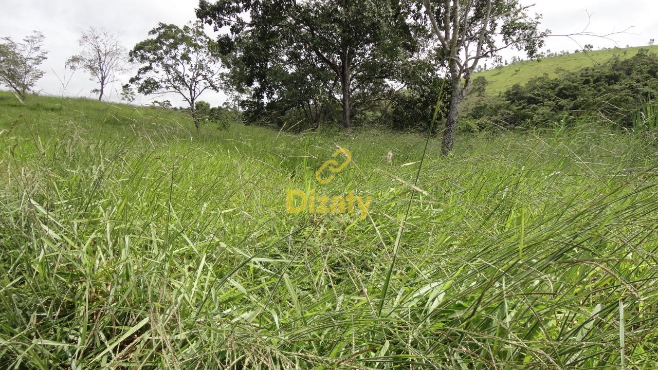 Imobiliria Dizaty em Sete Lagoas - MG