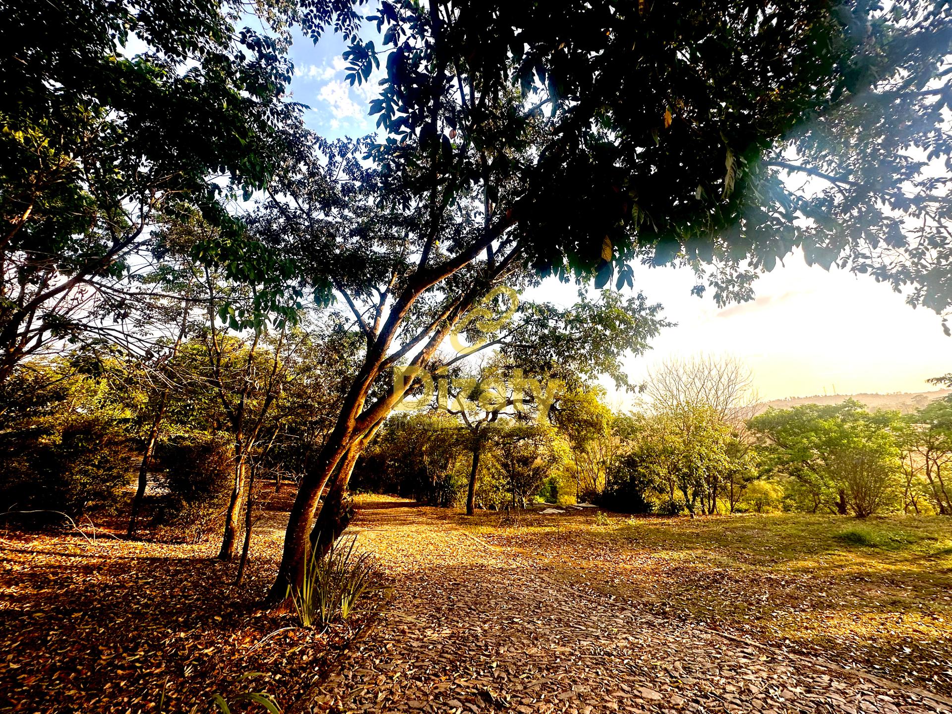 Imobiliria Dizaty em Sete Lagoas - MG