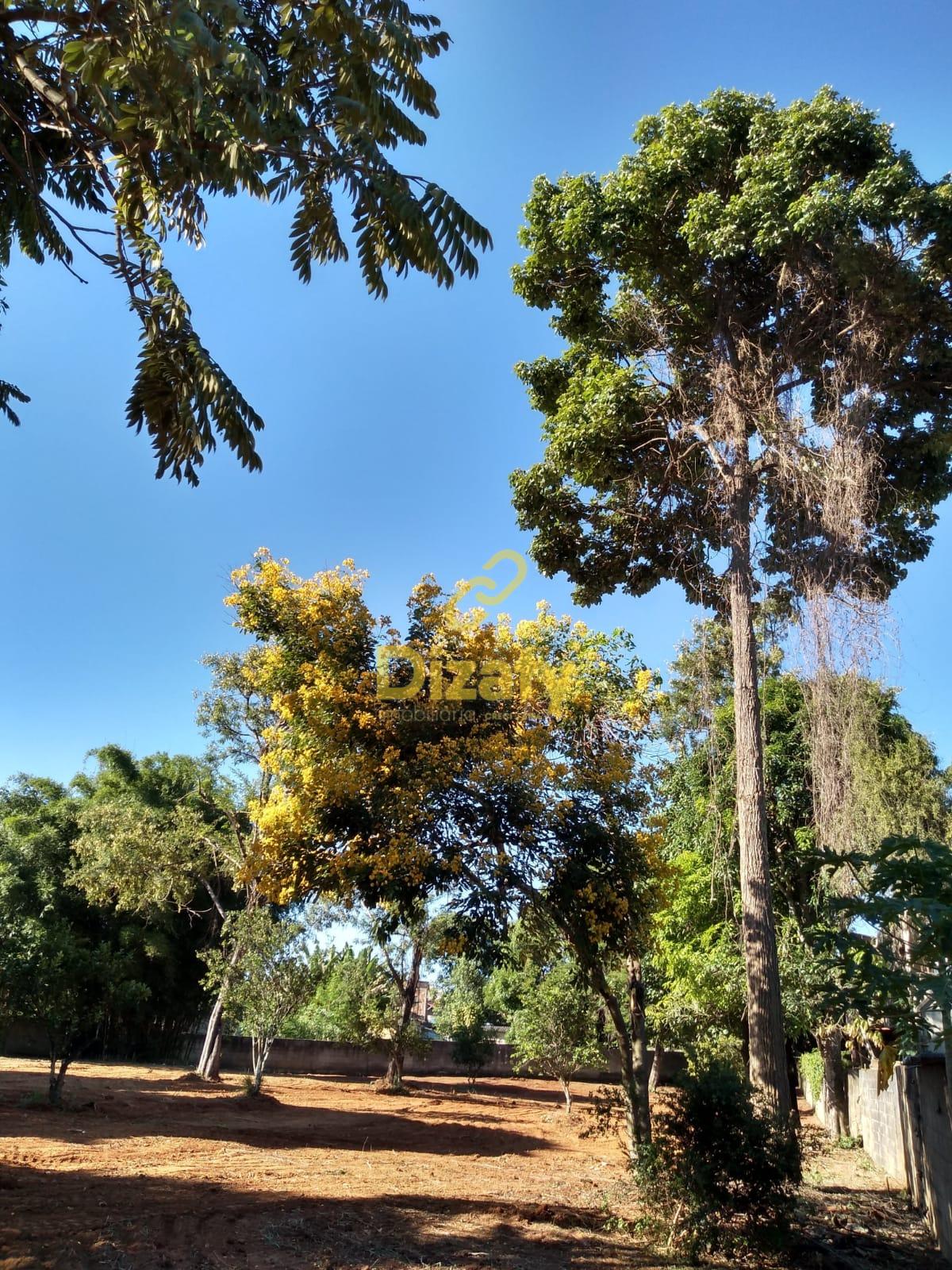 Imobiliria Dizaty em Sete Lagoas - MG