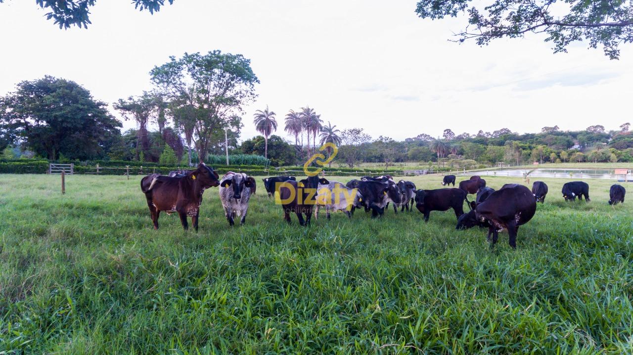 Imobiliria Dizaty em Sete Lagoas - MG