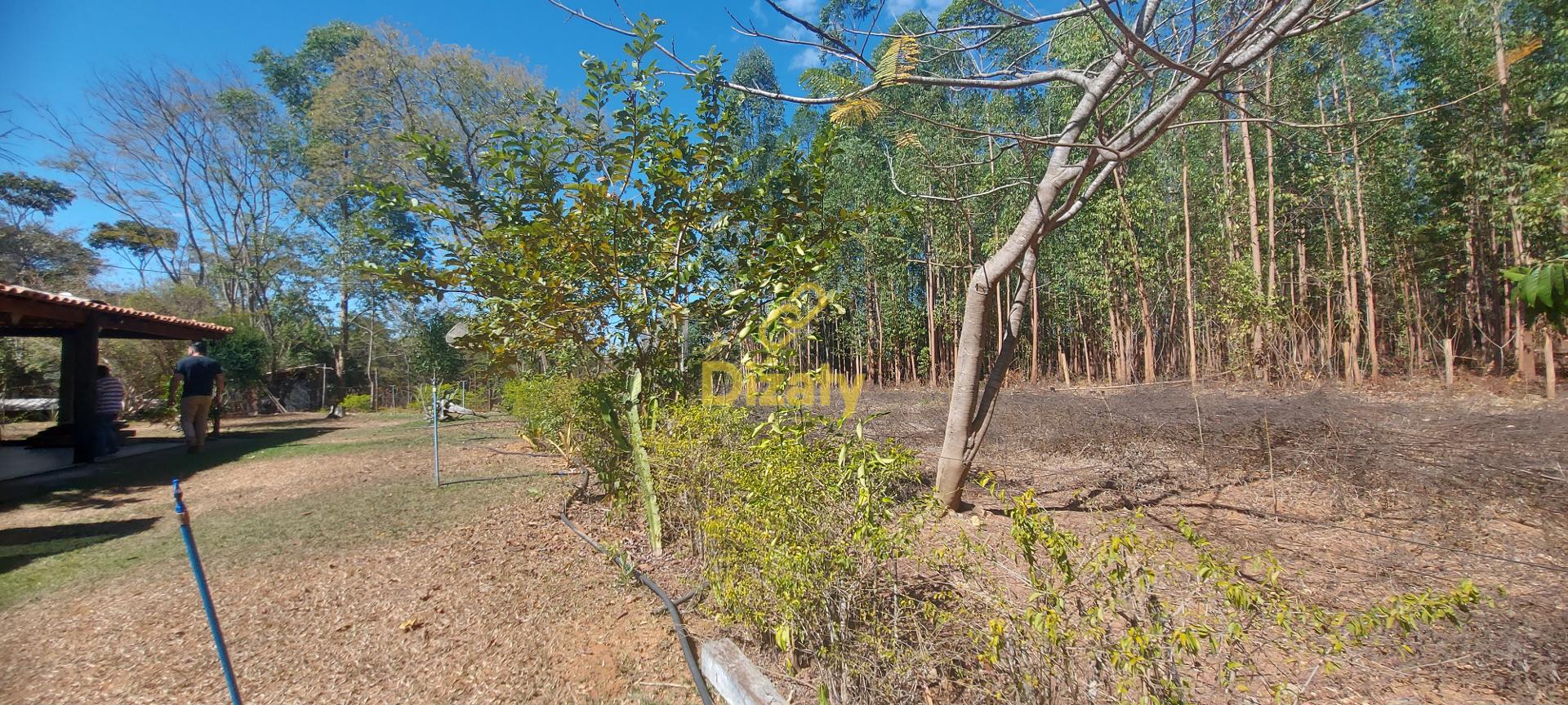 Imobiliria Dizaty em Sete Lagoas - MG