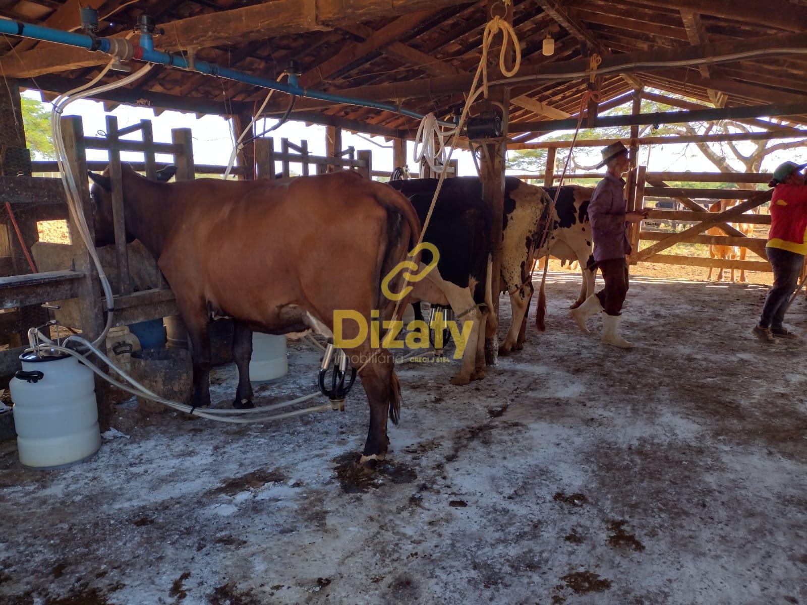 Imobiliria Dizaty em Sete Lagoas - MG
