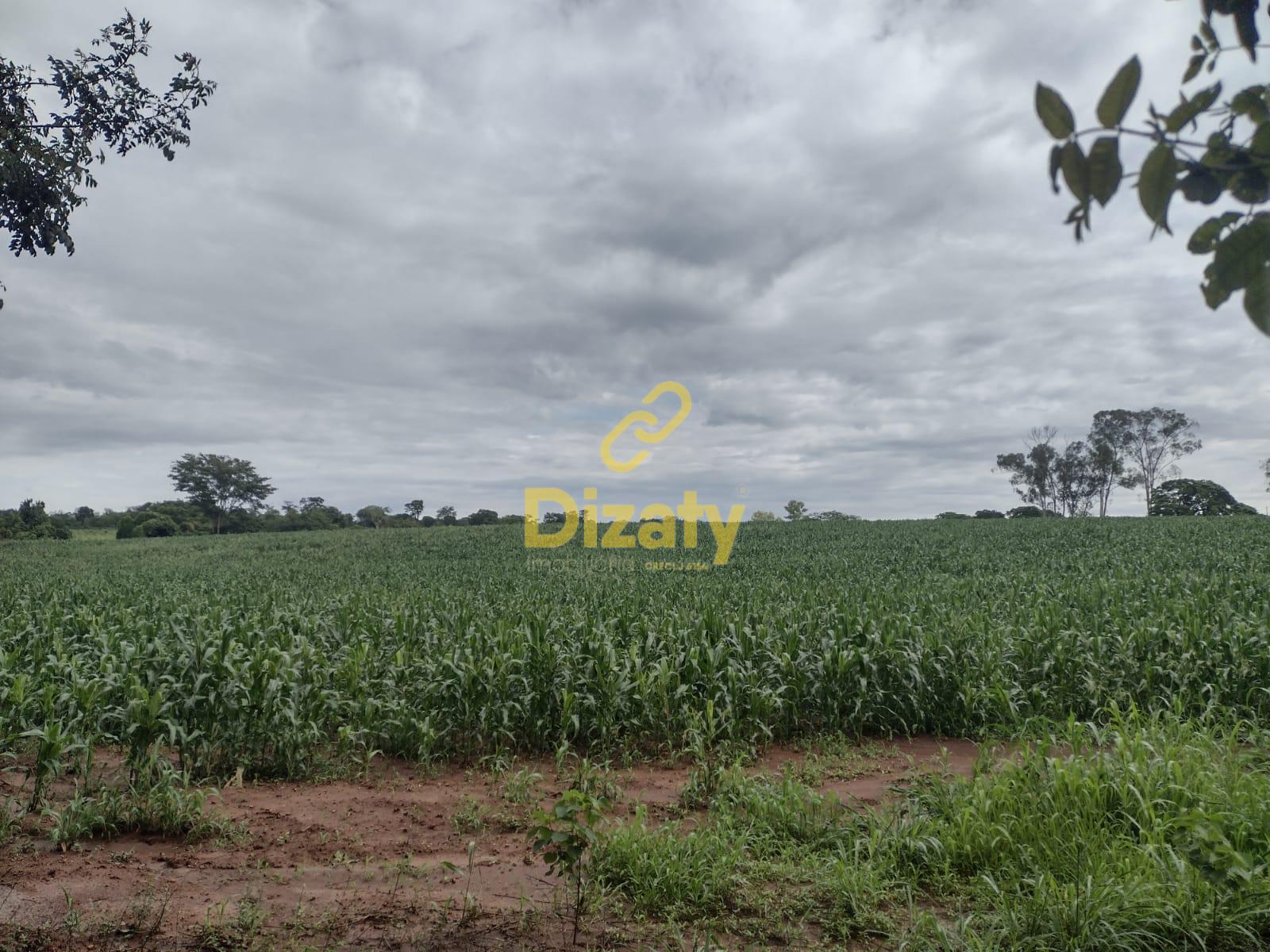 Imobiliria Dizaty em Sete Lagoas - MG