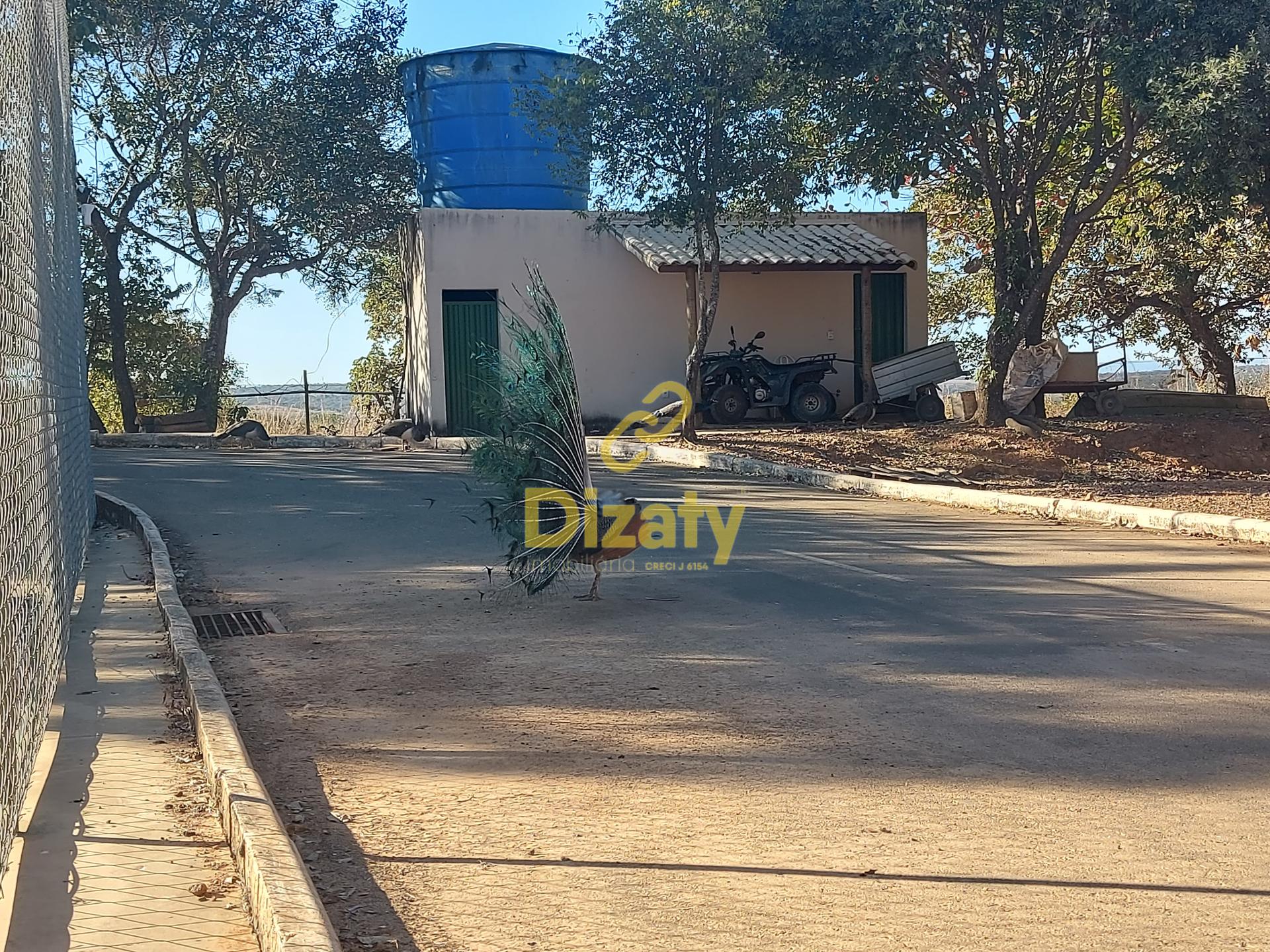 Terreno, 1000 m² - Foto 8