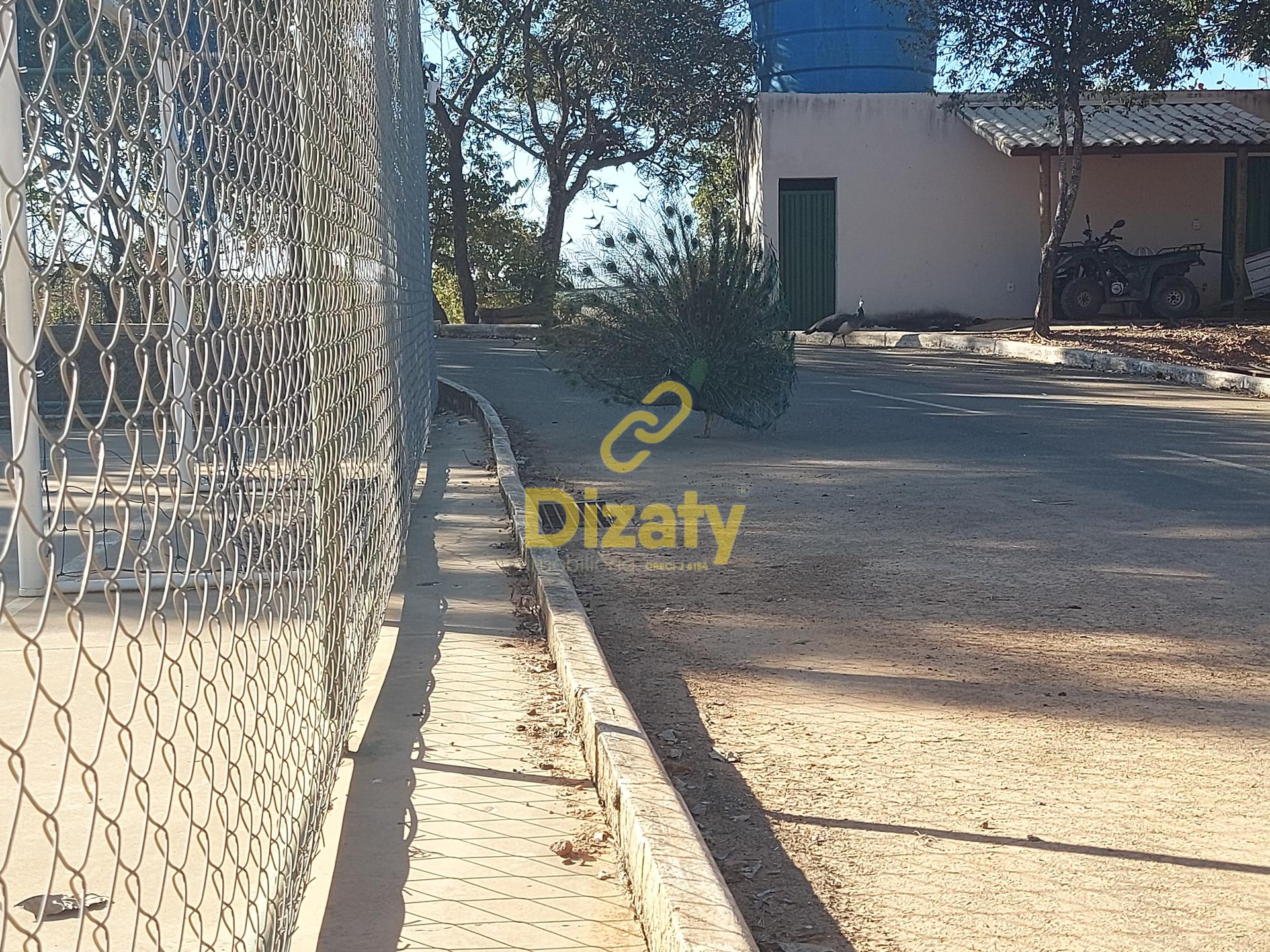 Terreno, 1000 m² - Foto 12