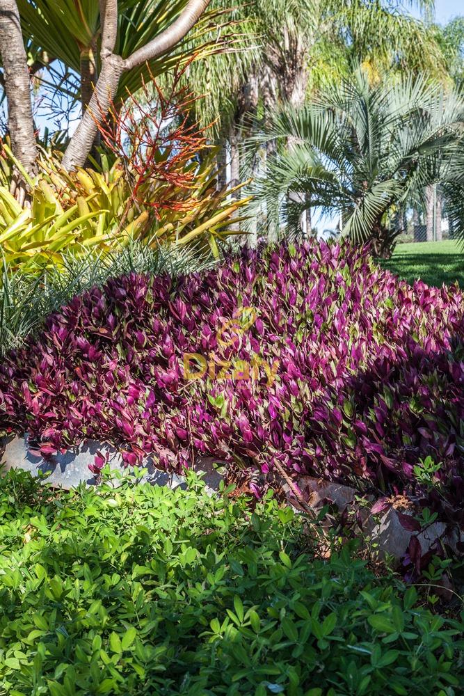 Terreno, 1000 m² - Foto 10