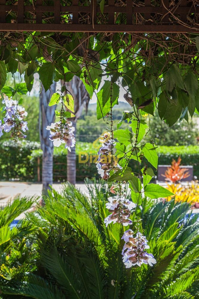 Terreno, 1000 m² - Foto 9