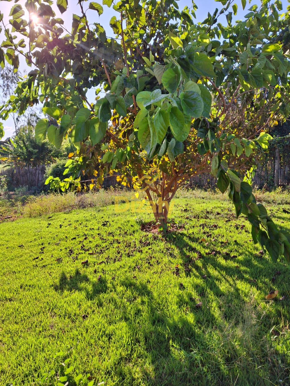 Chácara, 2 quartos - Foto 7