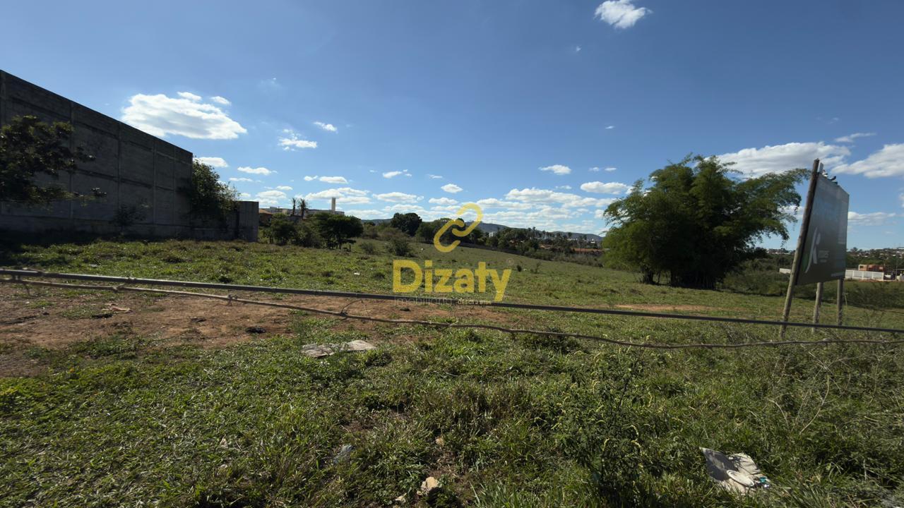 Terreno, 2 hectares - Foto 5