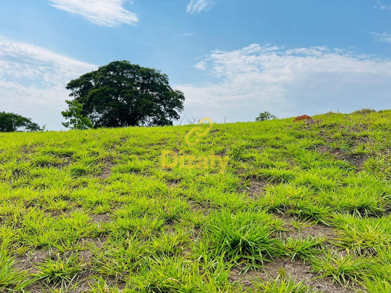 Terreno, 1000 m² - Foto 7