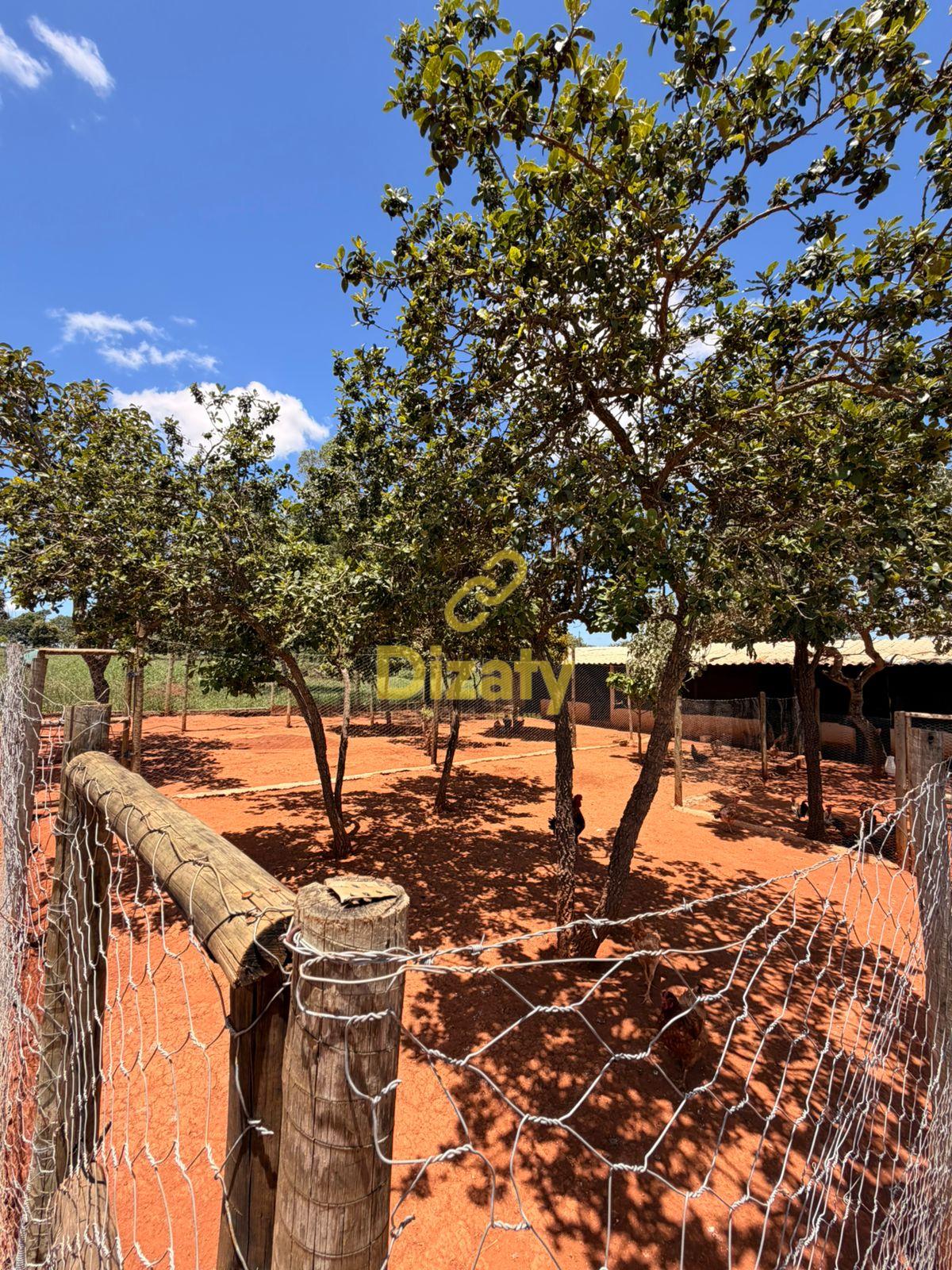 Sítio, 3 quartos, 2 hectares - Foto 7