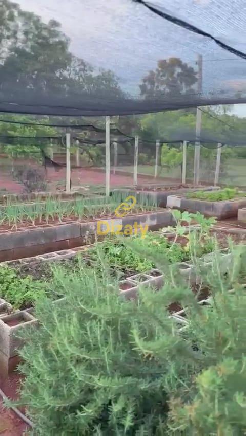 Sítio, 3 quartos, 2 hectares - Foto 22