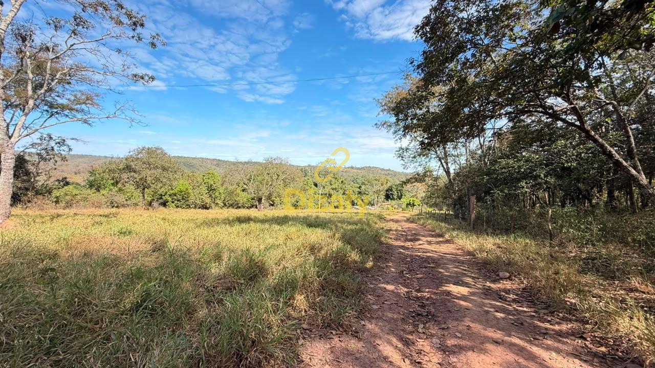 Fazenda - Foto 22