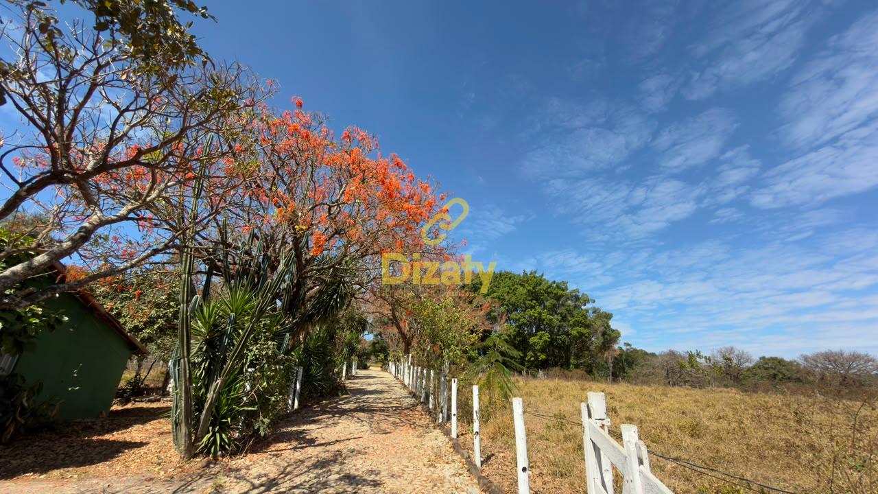 Fazenda - Foto 65