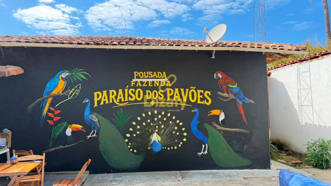 Fazenda - Foto 45